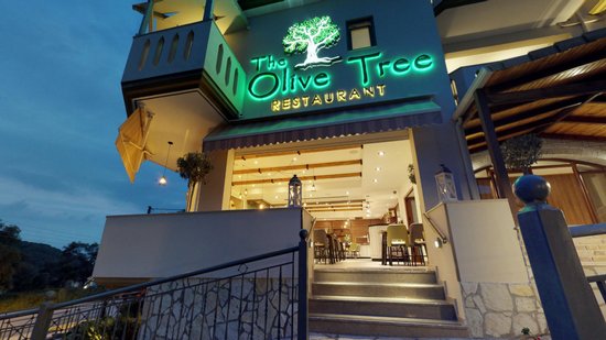 The Olive Tree | The Best Mediterranean Dining Experience in Miami